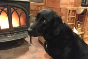 山田裕貴、健康意識が高くても…「自炊はしない」　約8割が“その理由”に共感