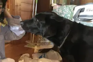 TESTTESTTESTTESTTESTTESTTESTTESTTESTTEST